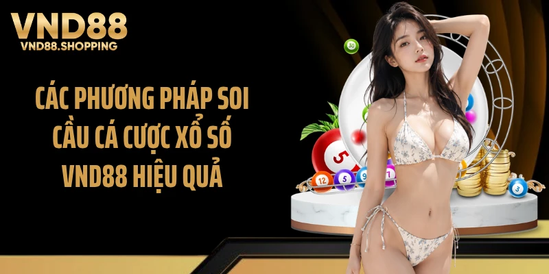 Các phương pháp soi cầu cá cược xổ số VND88 hiệu quả
