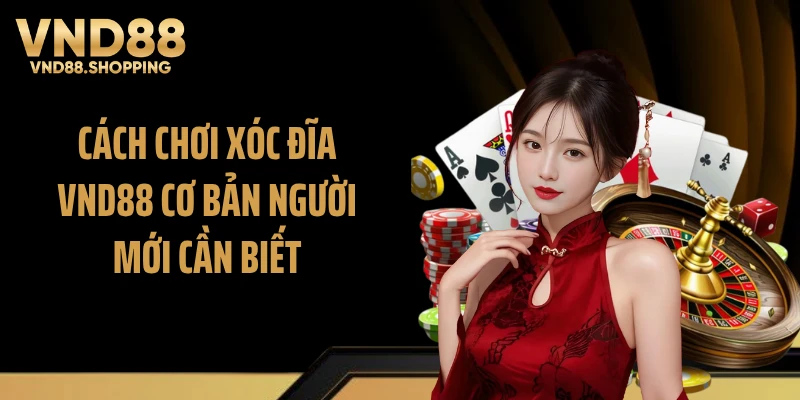 Cách chơi xóc đĩa VND88 cơ bản người mới cần biết