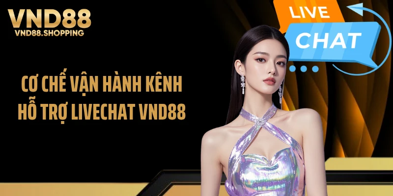 Cơ chế vận hành kênh hỗ trợ livechat VND88