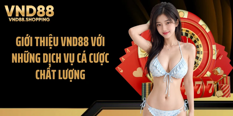 Giới thiệu VND88 với những dịch vụ cá cược chất lượng
