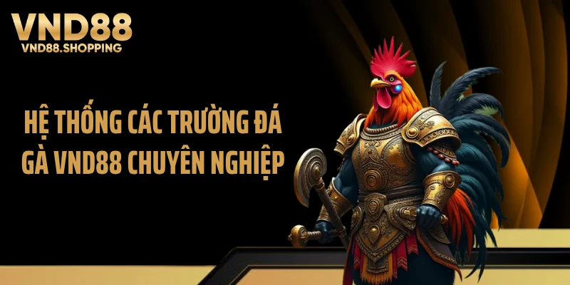 Hệ thống các trường đá gà VND88 chuyên nghiệp