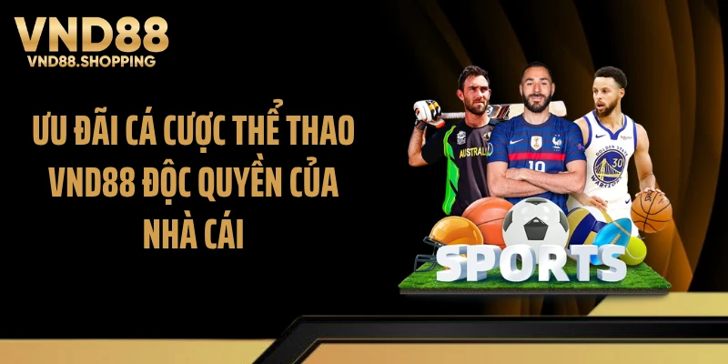 Ưu đãi cá cược thể thao VND88 độc quyền của nhà cái