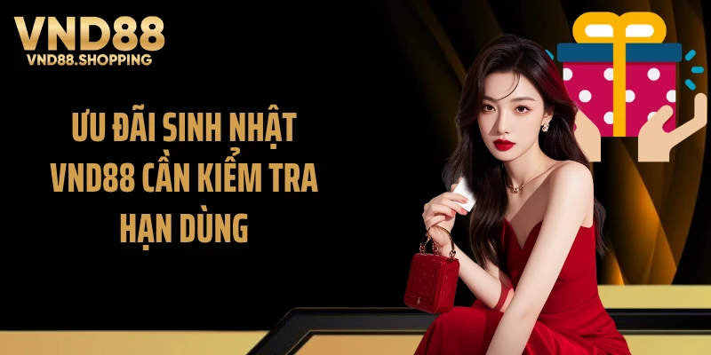 Ưu đãi sinh nhật VND88 cần kiểm tra hạn dùng